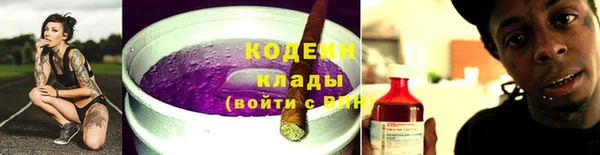 прущие грибы Баксан