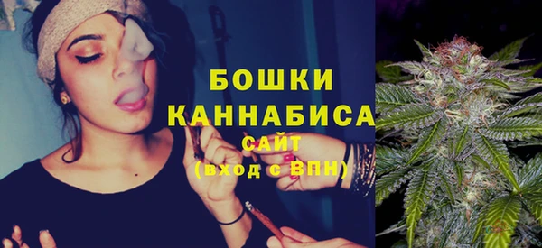 прущие грибы Баксан