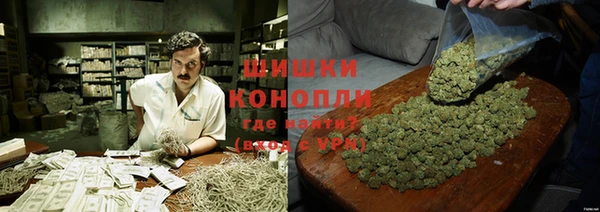 прущие грибы Баксан