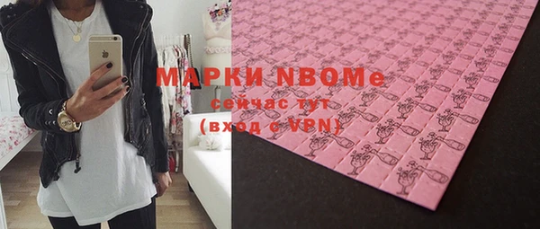 прущие грибы Баксан